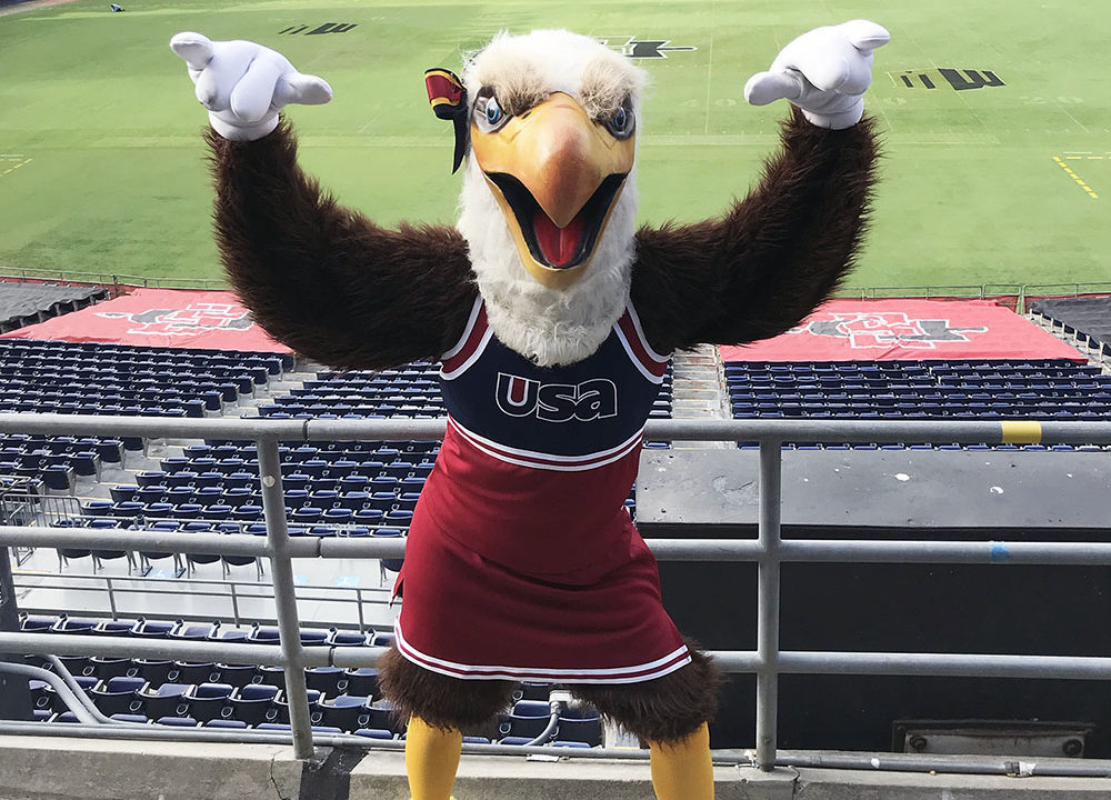 Mascot Madness USA