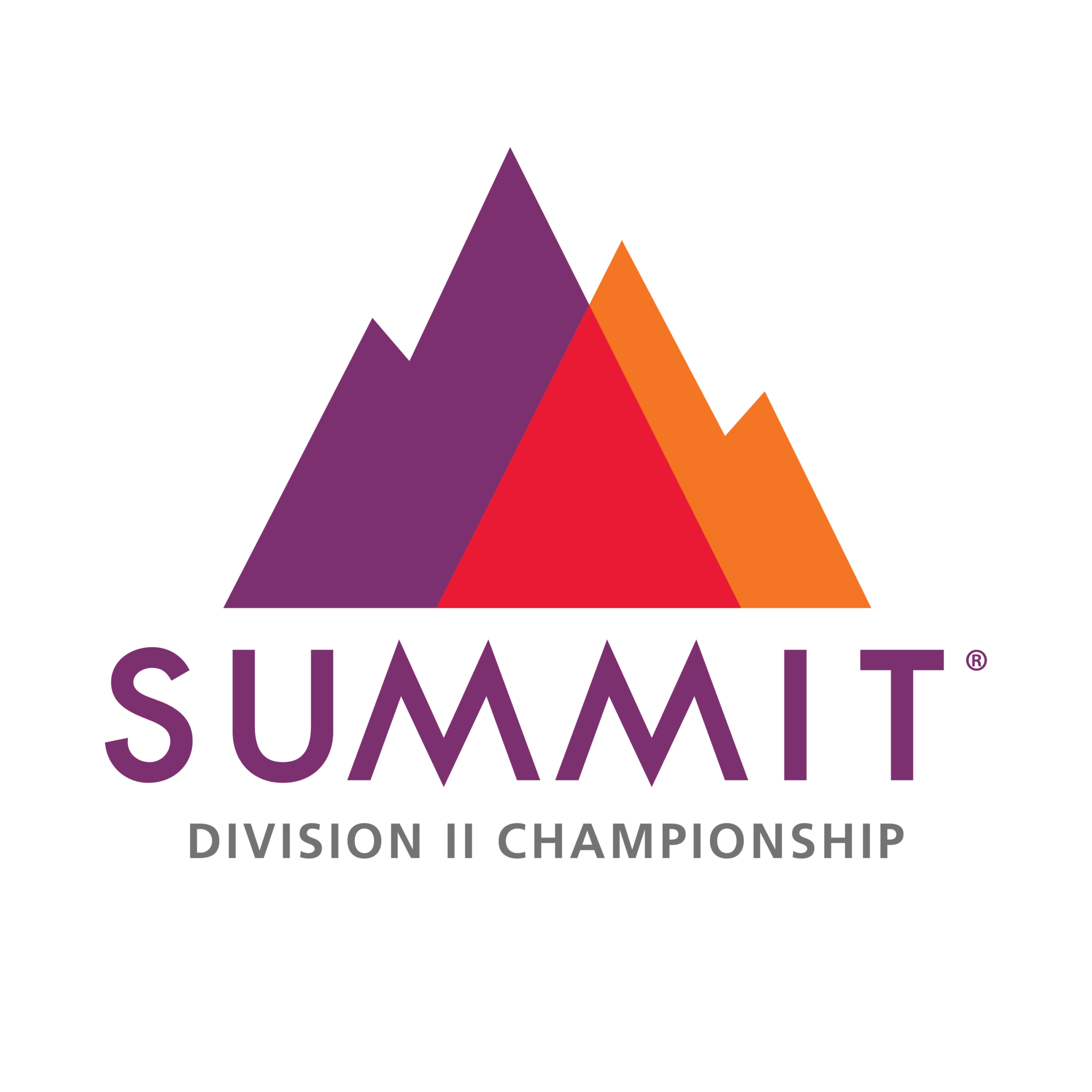 The D2 Summit Varsity All Star D2 Summit Athletes & Fans